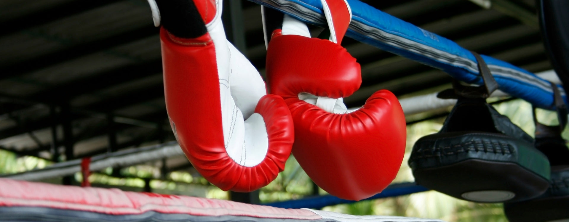 Martial_arts_gloves