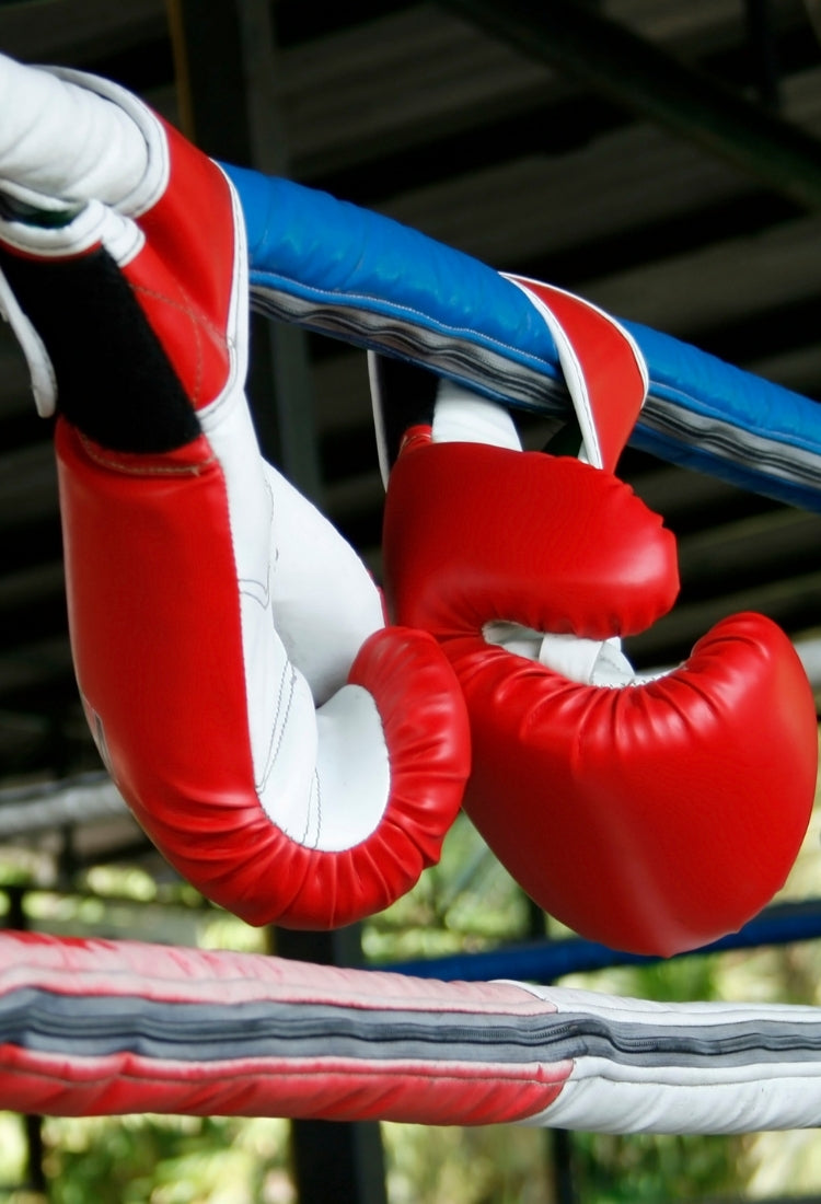 Martial_arts_gloves